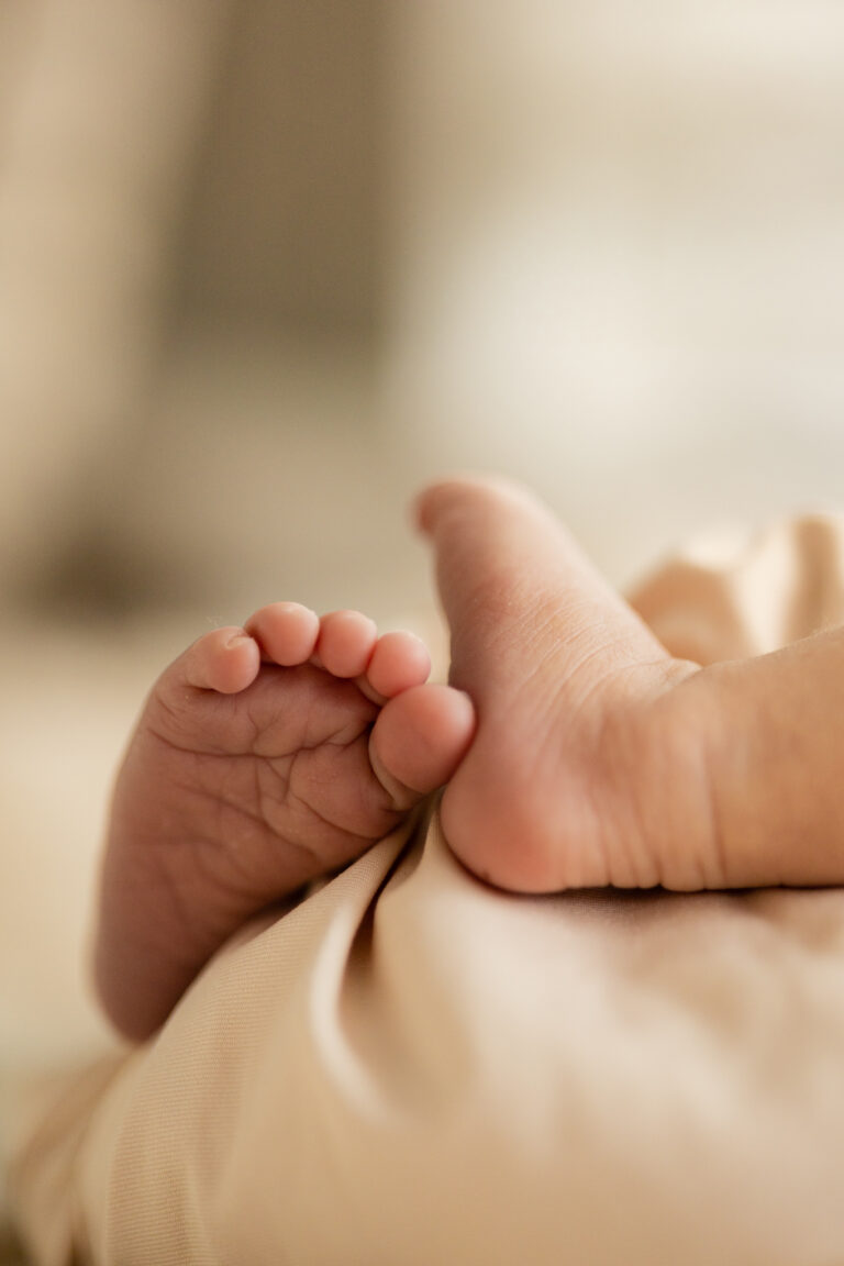 Newborn baby feet up close professional photography image
